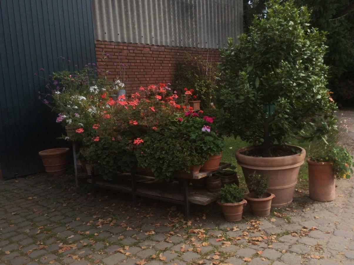 Ferienwohnung Haumannshof Xanten Esterno foto
